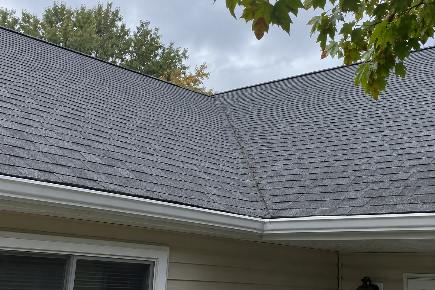 Gray asphalt shingles and a white gutter on a single-story home