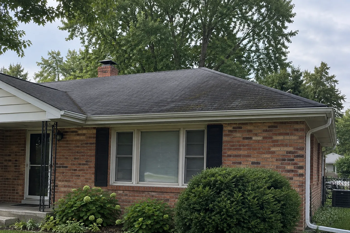 Dark algae streaks on a gray asphalt-shingle roof
