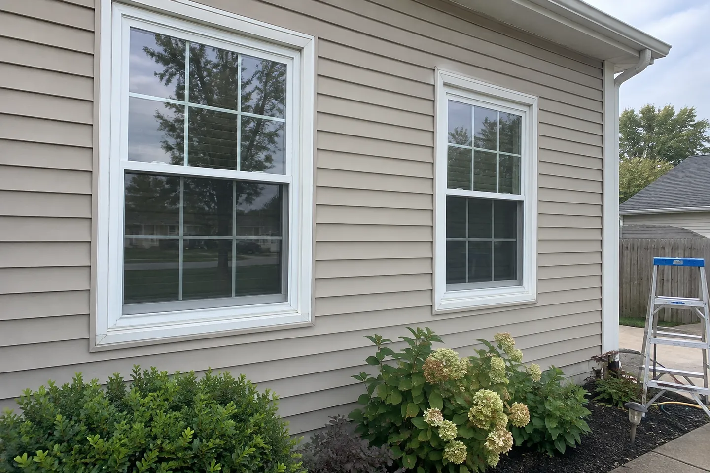 White-framed windows reflecting trees and a cloudy sky